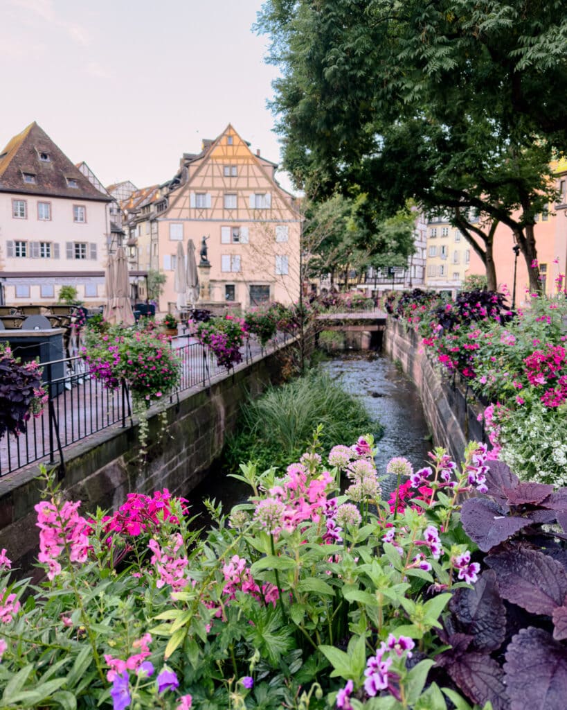 Colmar Rance Is Colmar France Worth Visiting + Photo Diary • Abroad with Ash