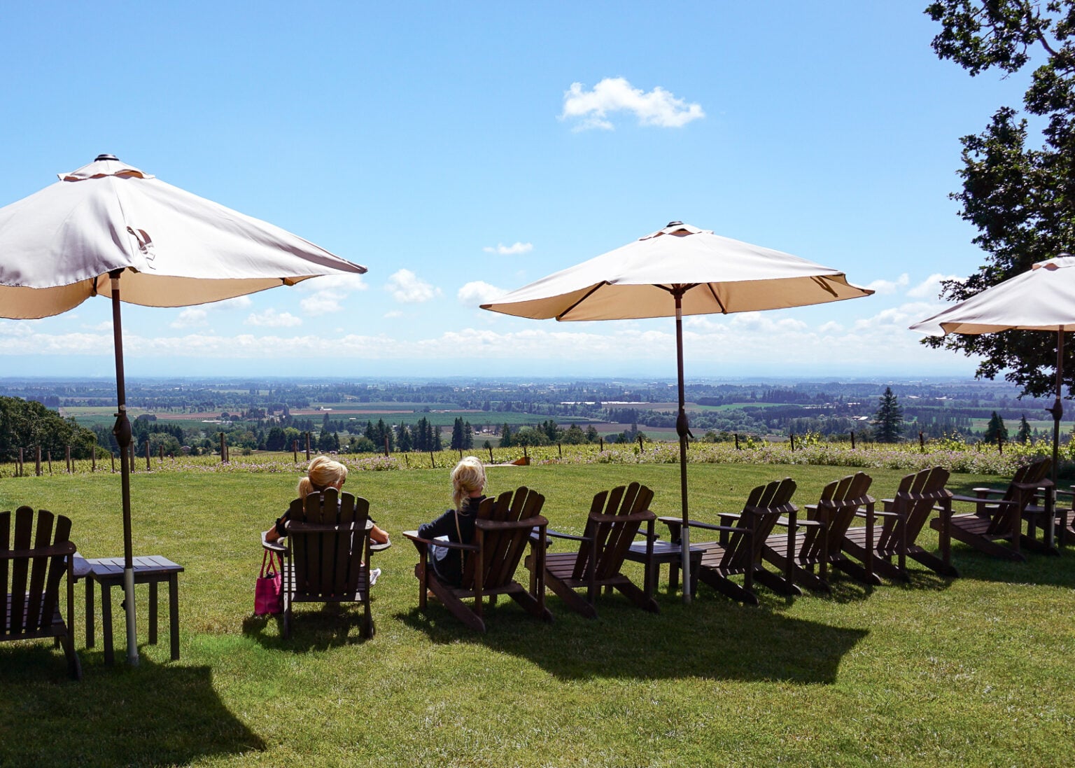 10 Best Willamette Valley Wineries | TOP Picks From a Local! • Abroad ...