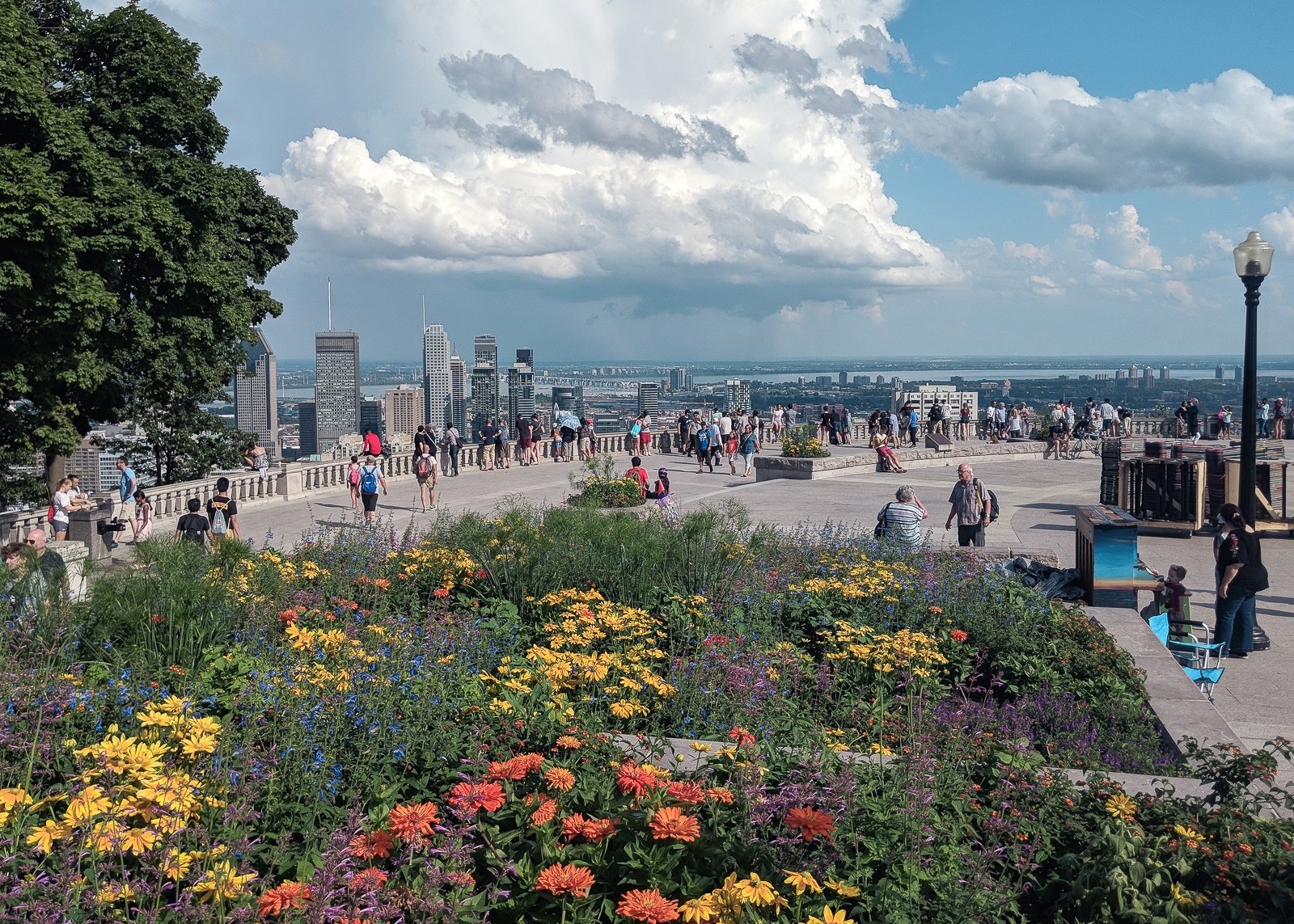 mont royal canada