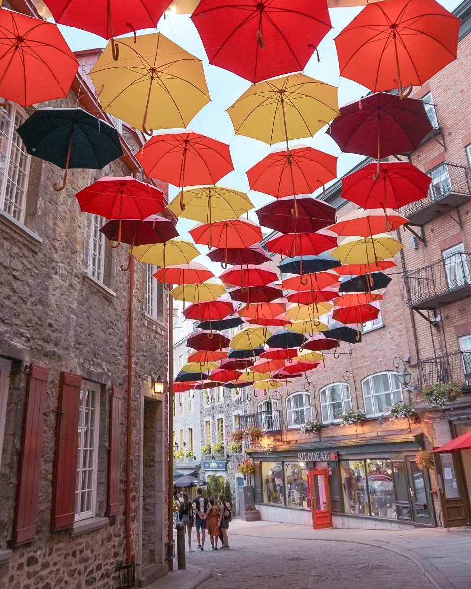 Umbrella Alley Quebec City