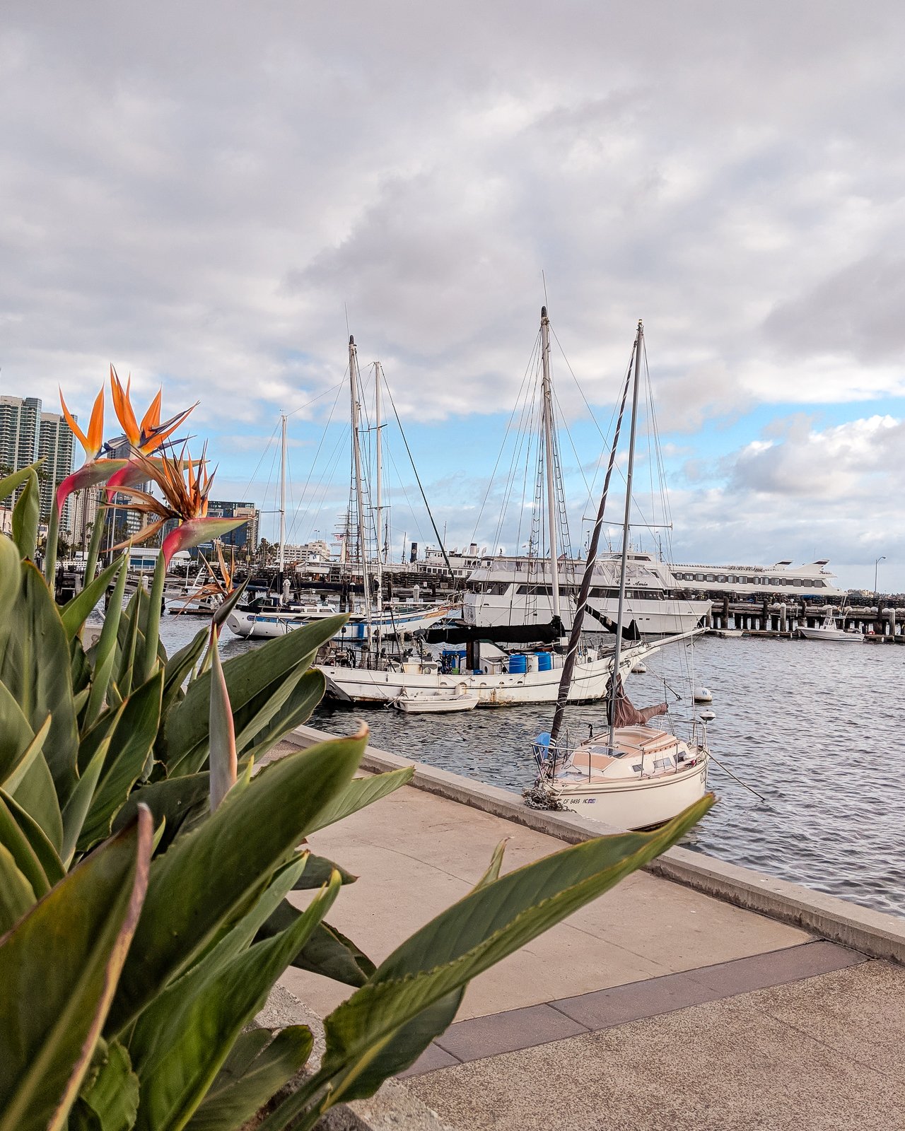 a weekend in San Diego