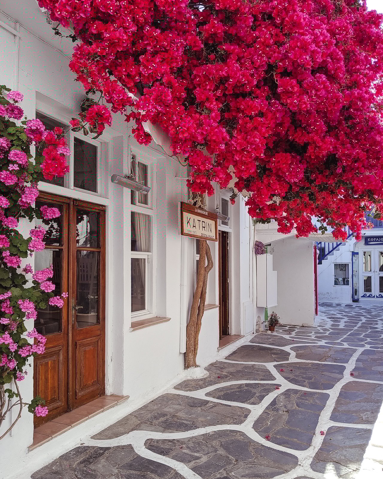 what to do in Mykonos