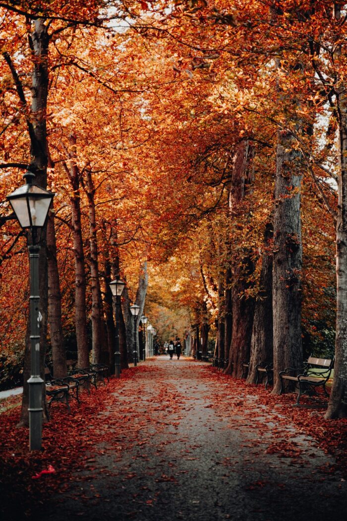 Best Time to Visit Austria – Ideal Seasons and Months • Abroad with Ash