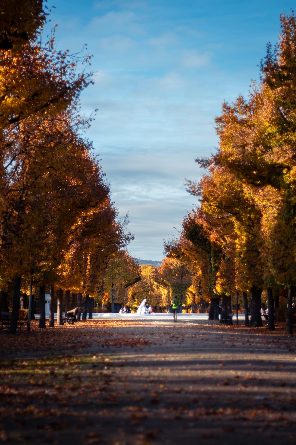 Schonbrunn Vienna Austria in fall