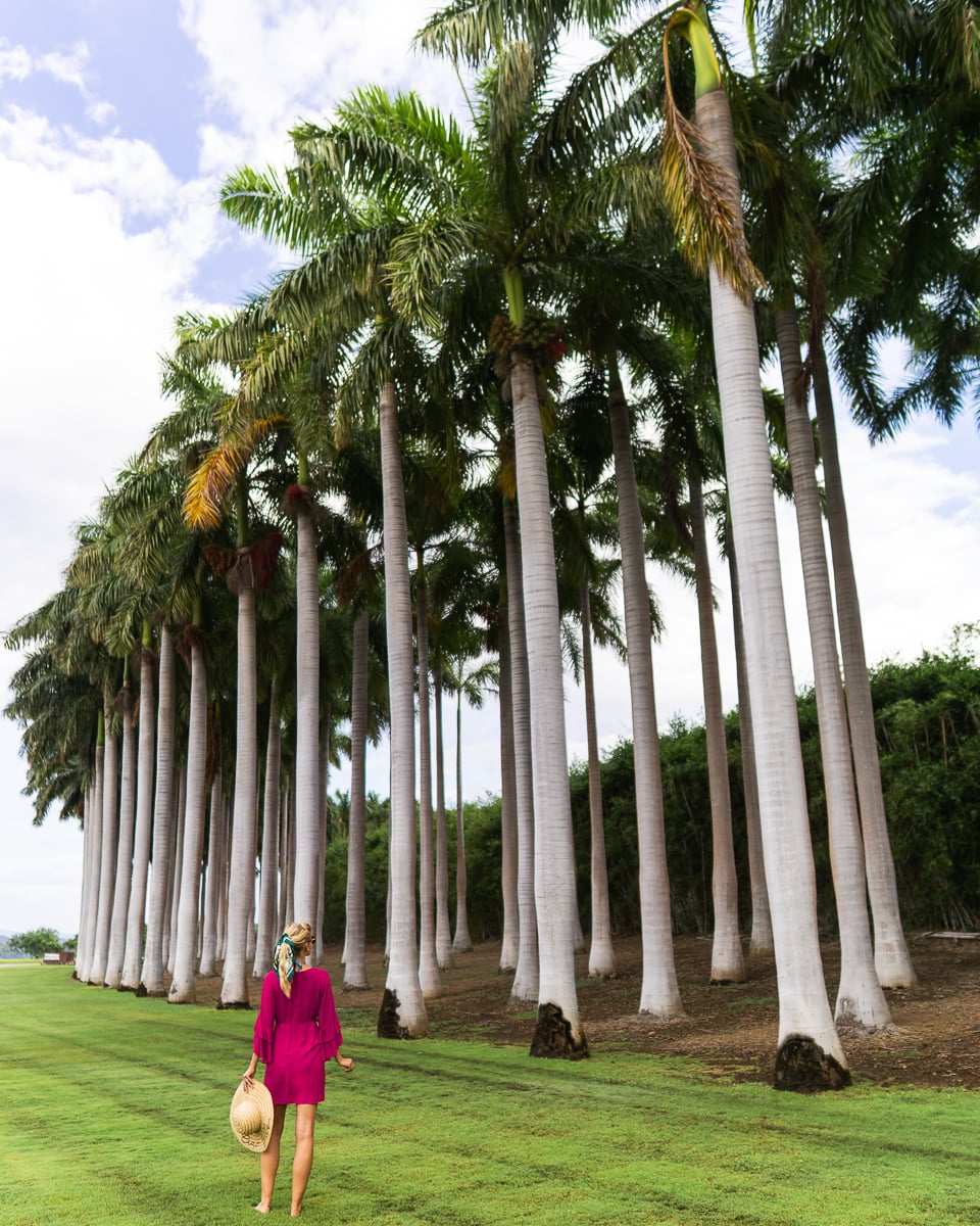 Hyatt Andaz Papagayo Costa Rica-3 andaz papagayo hotel costa rica
