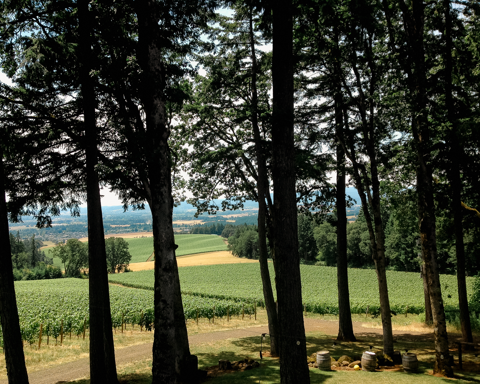 Domaine Drouhin Willamette Valley-1 weekend in willamette valley