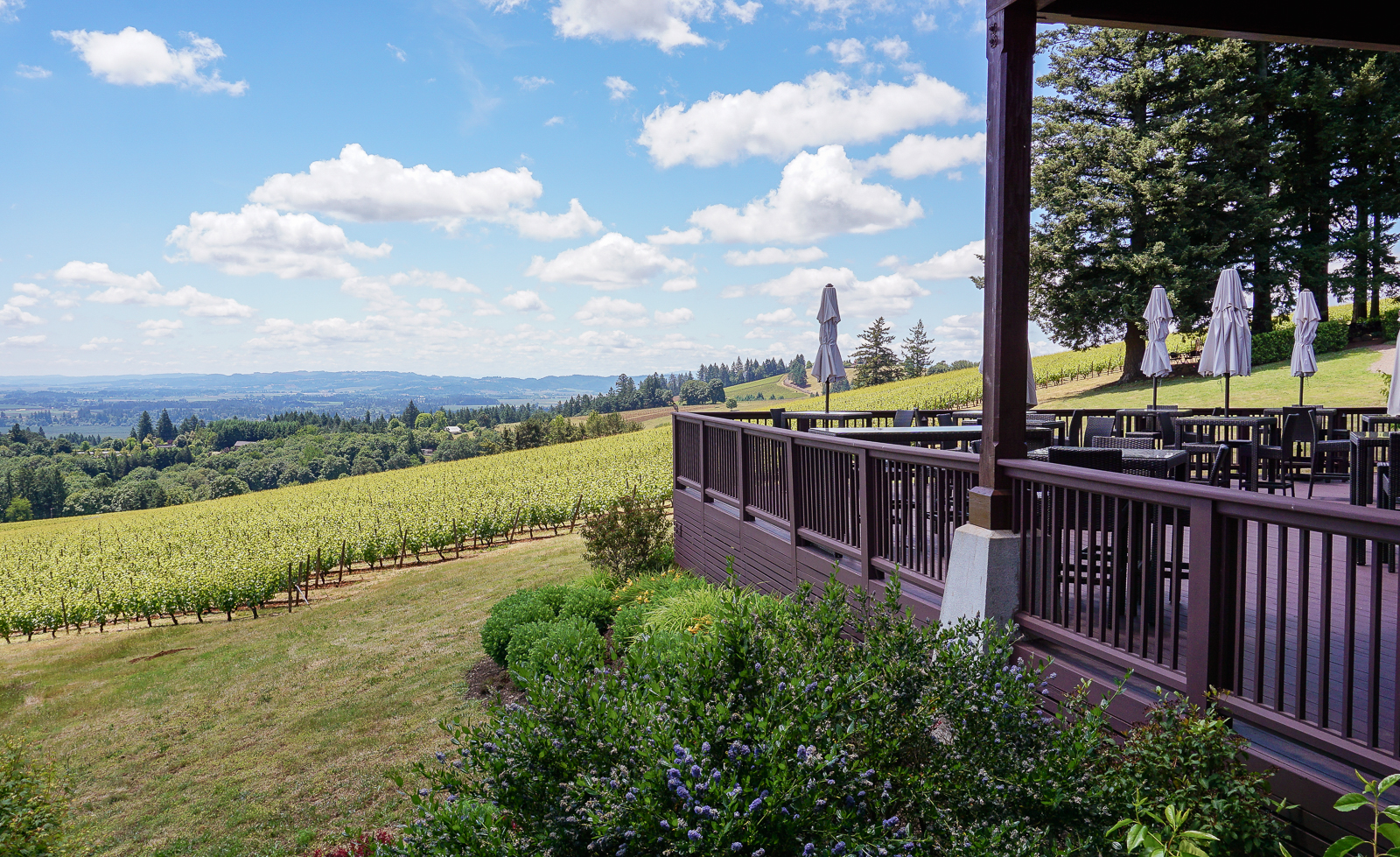 Domaine Drouhin Willamette Valley weekend in willamette valley oregon