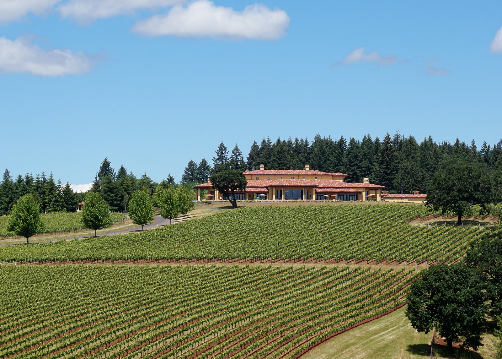 Domaine Serene Willamette Valley-1 weekend in willamette valley