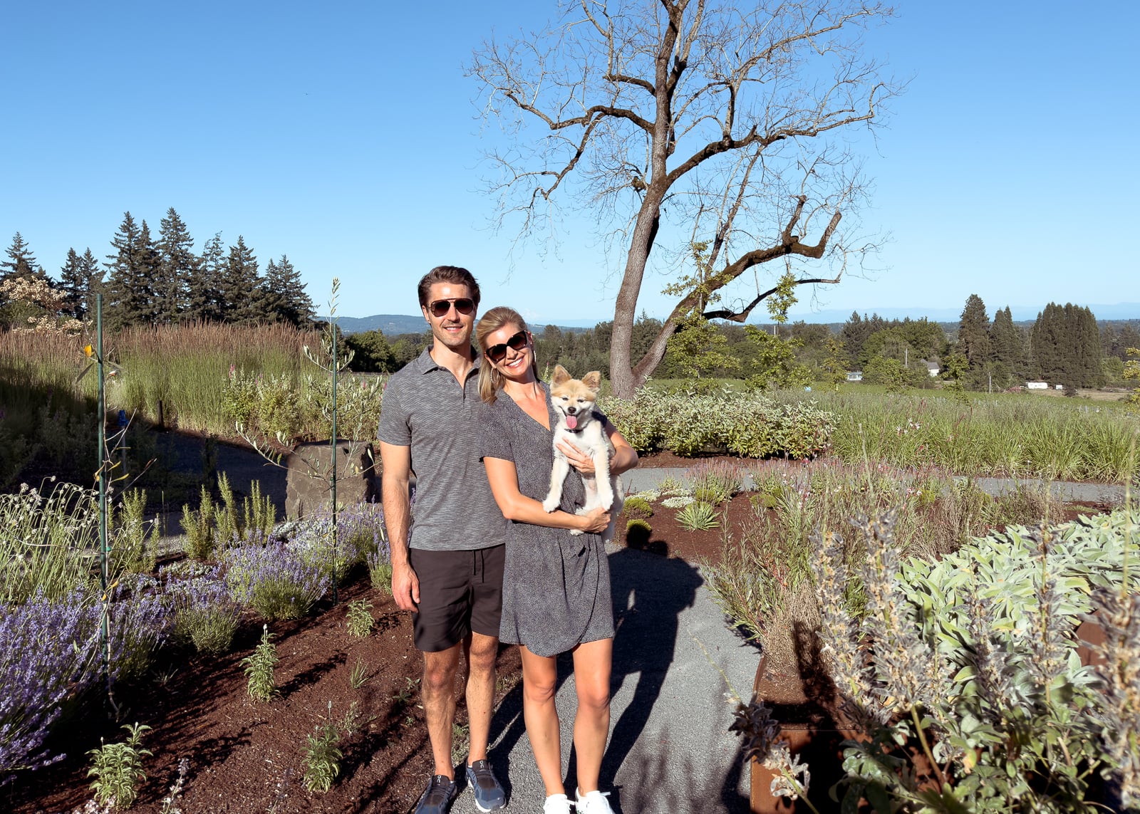 Domaine Willamette Valley Oregon top willamette valley wineries