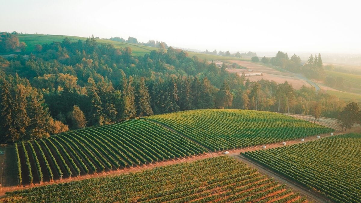 10 Best Willamette Valley Wineries | TOP Picks From a Local! • Abroad ...