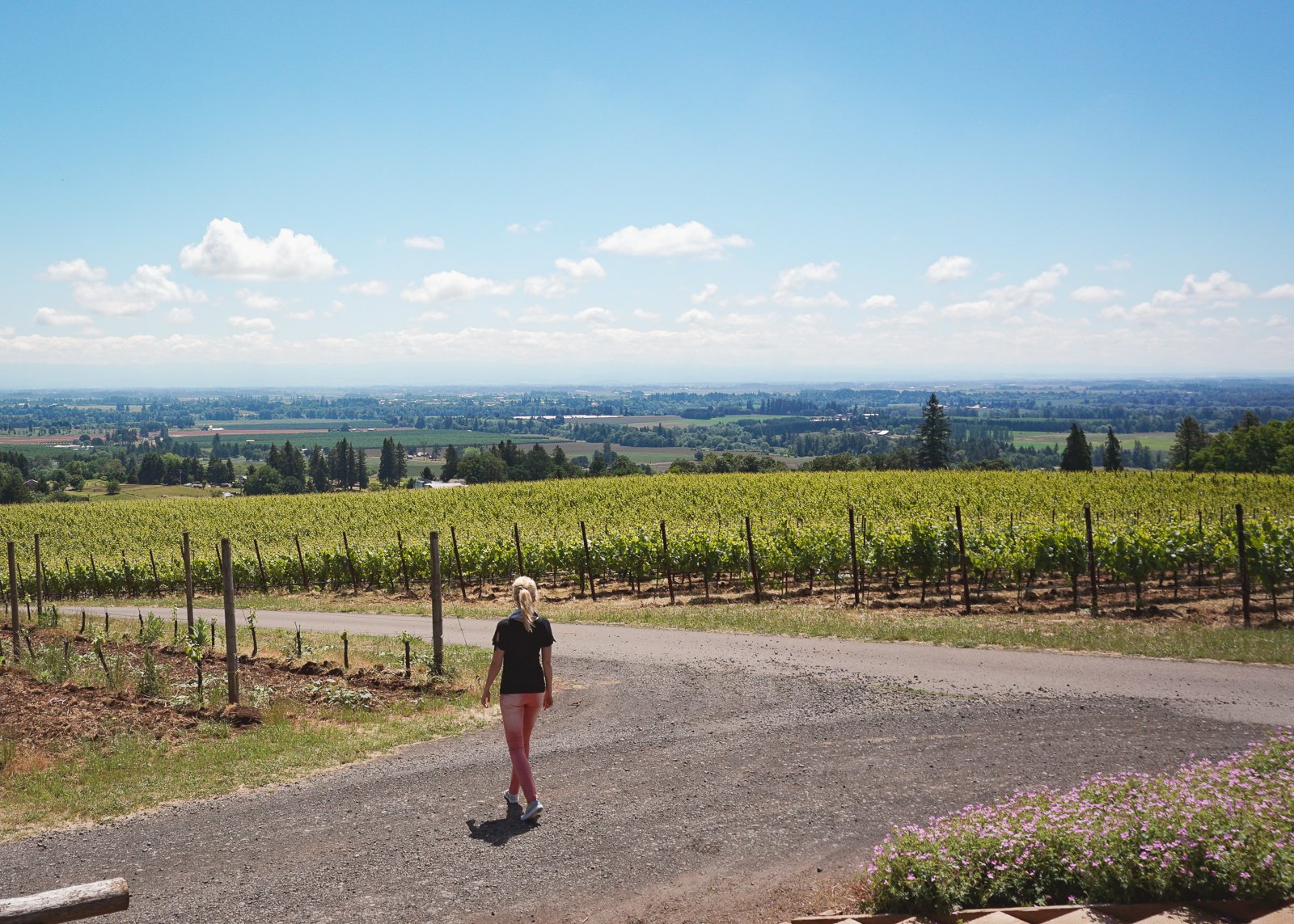 A Local’s Guide to Oregon Wine Country | Weekend Itinerary for Willamette Valley