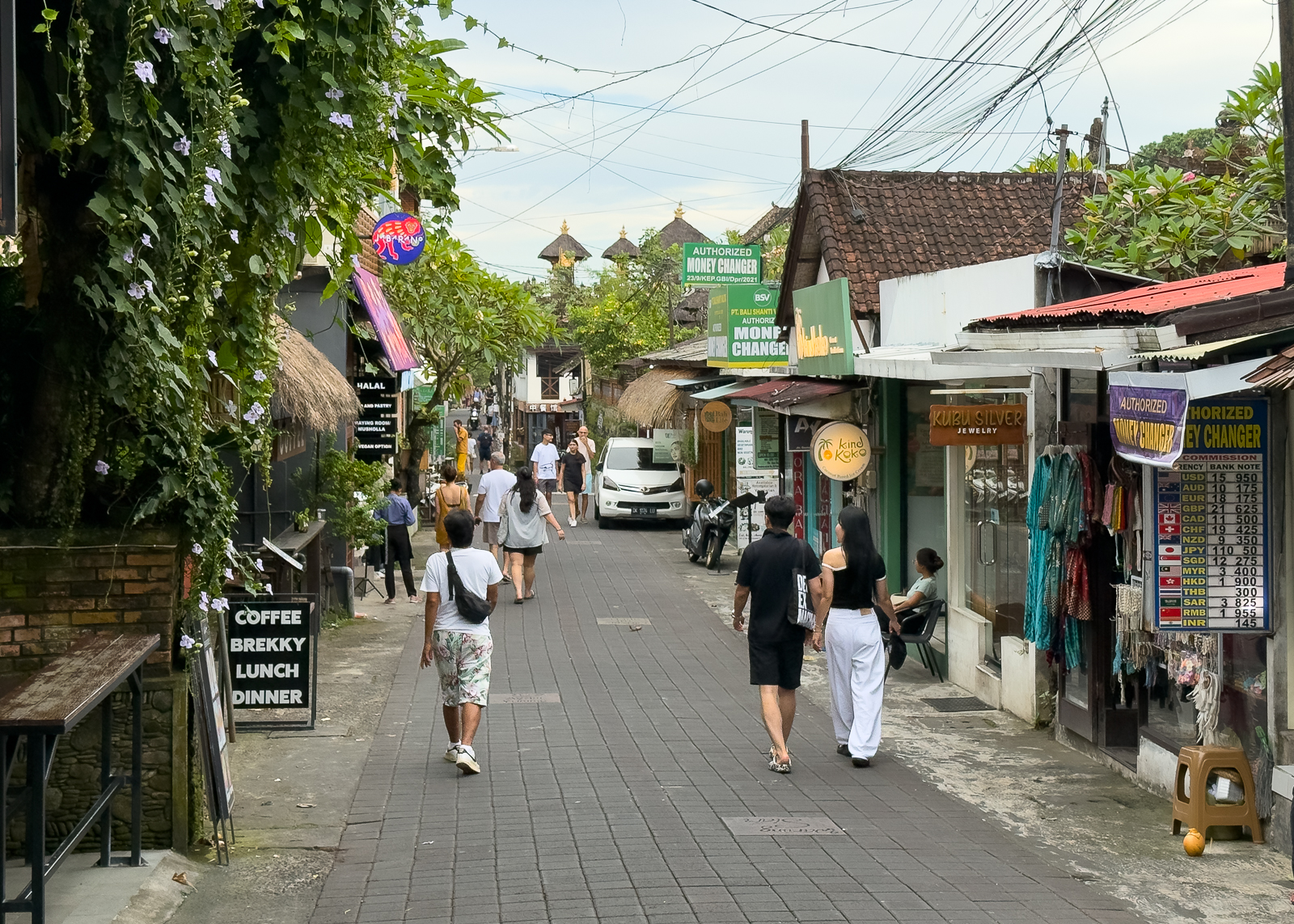 Ubud Bali-4 is bali worth visiting