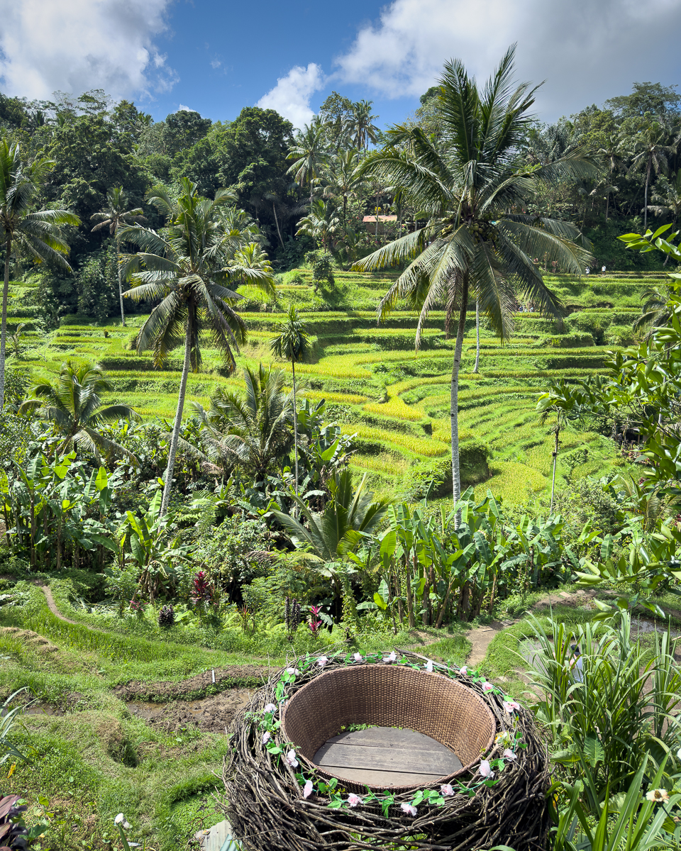 Ubud Bali is bali worth visiting