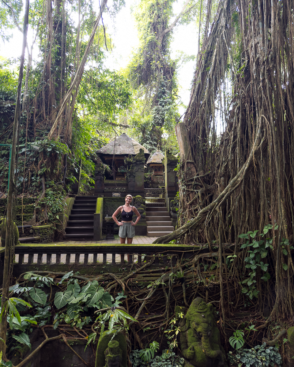 Ubud Monkey Forest Bali Ubud Monkey Forest